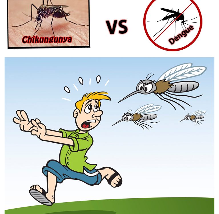 Dengue Chikungunya Virus