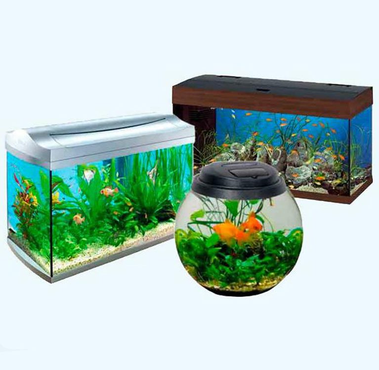 Riar Aquarium