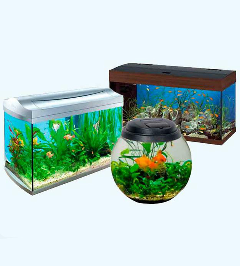 Riar Aquarium